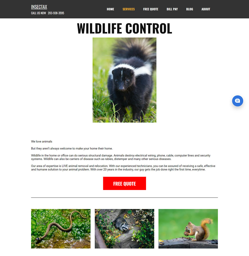 Bridgeport Wildlife Control